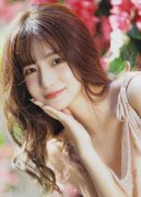 机构党的组织实行垂曲带领